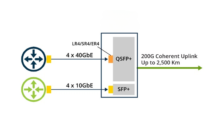 Figure 1: Diagram of 40G Extension Using 100G/200G Muxponders